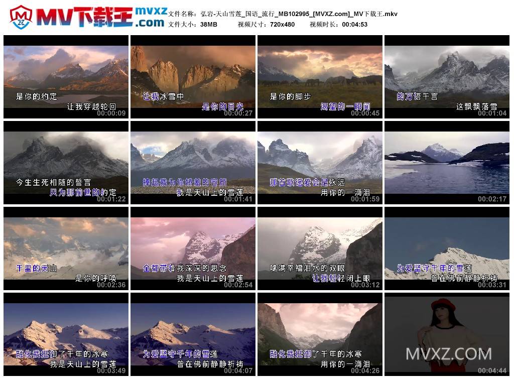 弘岩-天山雪莲_国语_流行_MB102995